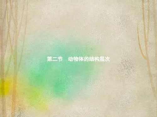 安庆市第一中学七年级生物上册2.2.2动物体的结构层次课件新版新人教版3