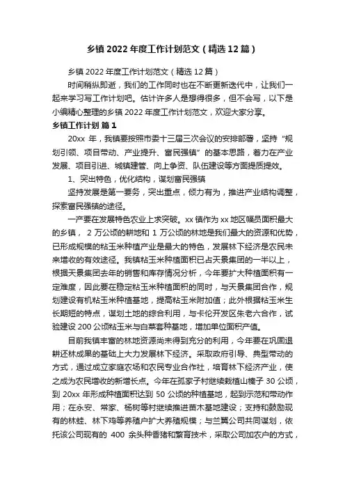 乡镇2022年度工作计划范文（精选12篇）