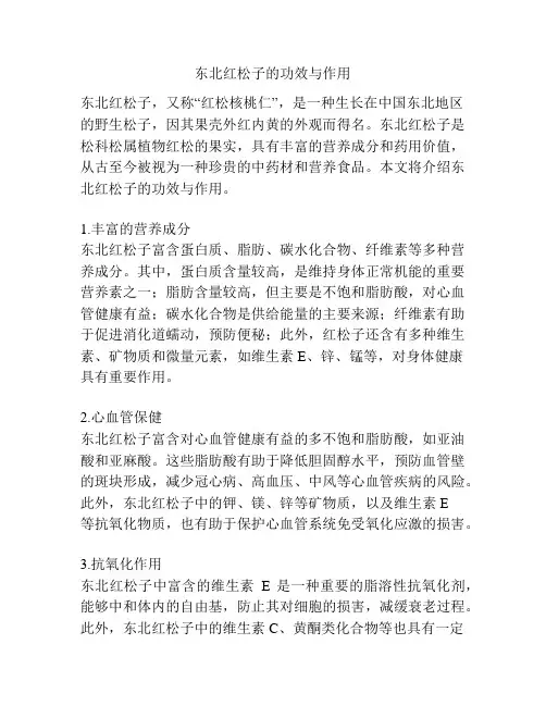 东北红松子的功效与作用