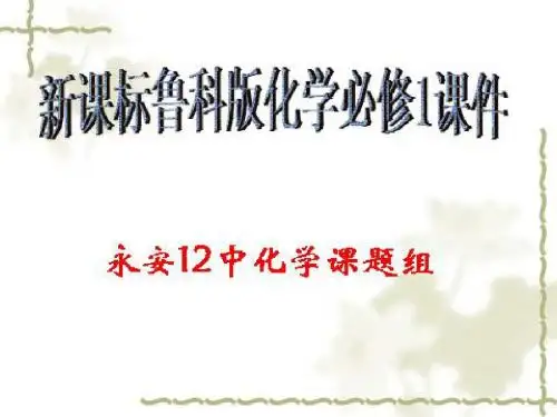 元素与物质的分类PPT课件 鲁科版