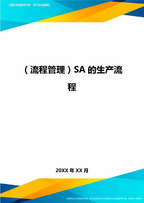 流程管理SA的生产流程