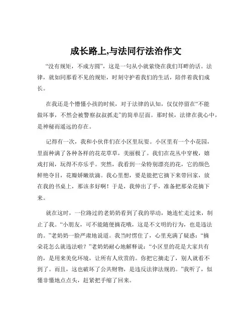 成长路上,与法同行法治作文