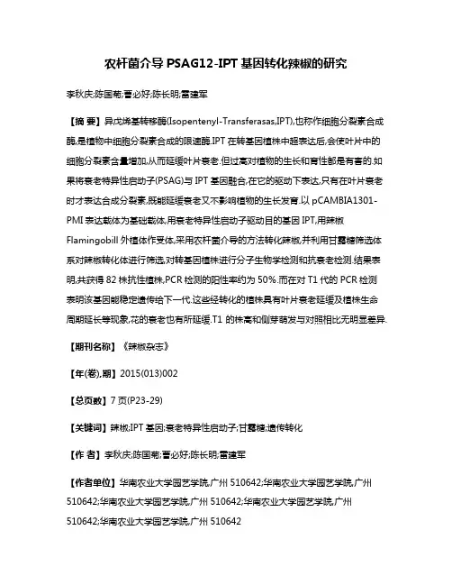 农杆菌介导PSAG12-IPT基因转化辣椒的研究