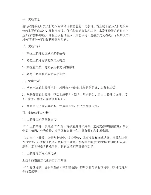 上肢骨实验报告实验结果