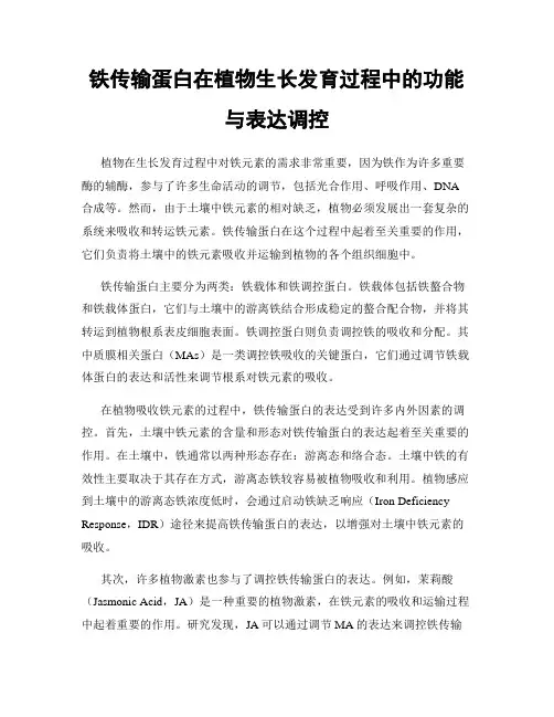铁传输蛋白在植物生长发育过程中的功能与表达调控