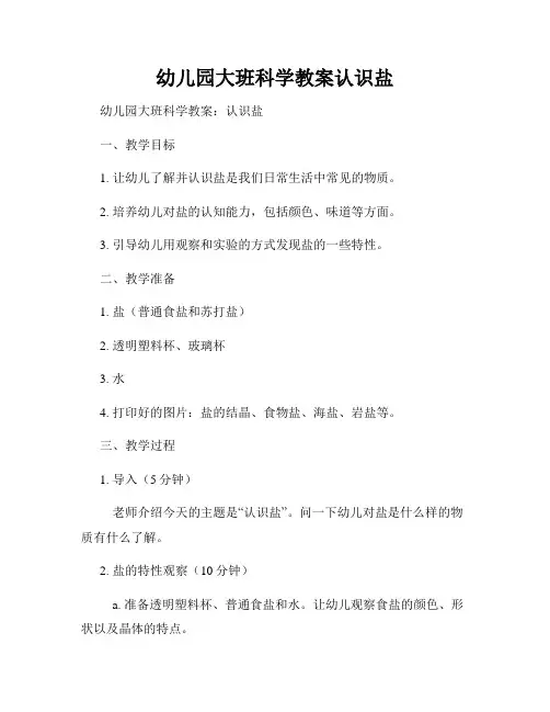 幼儿园大班科学教案认识盐