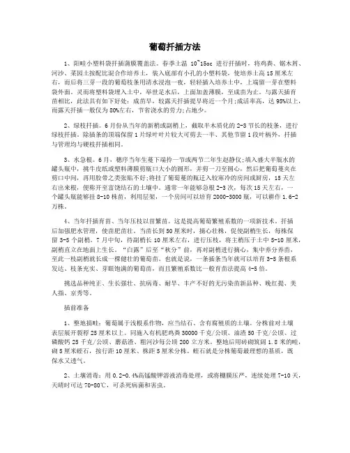 葡萄扦插方法