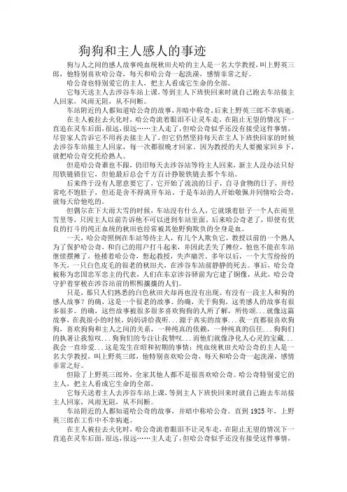 狗狗和主人感人的事迹