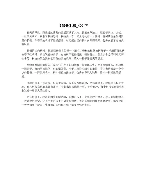 【写景】柳_400字