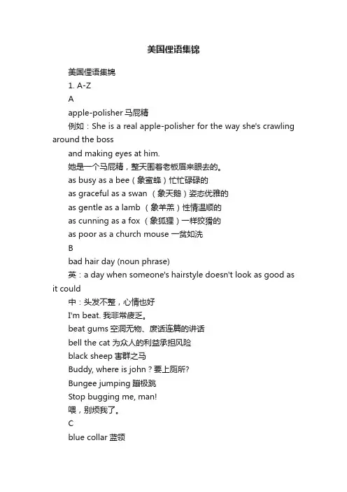 美国俚语集锦