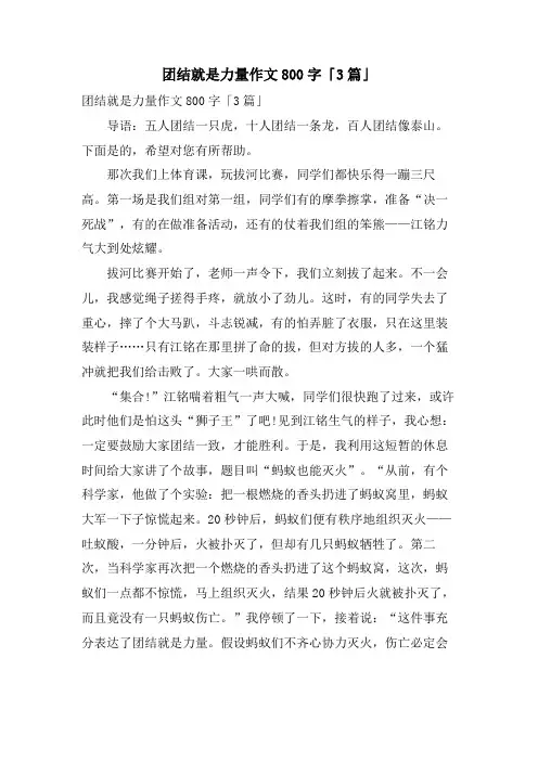 团结就是力量作文800字「3篇」