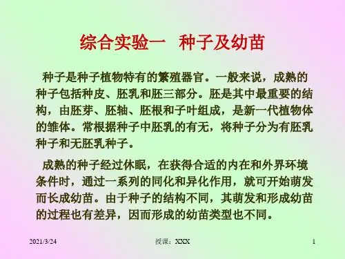 种子的构造和类型PPT课件