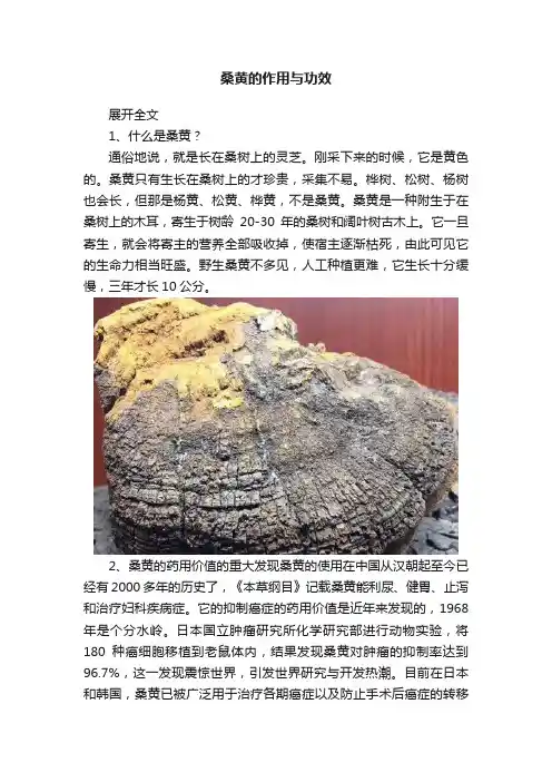 桑黄的作用与功效