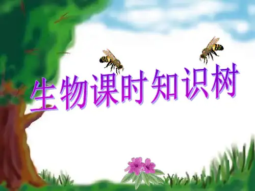 初中生物课时知识树八年级上册