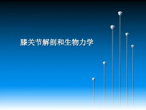 膝关节解剖和生物力学