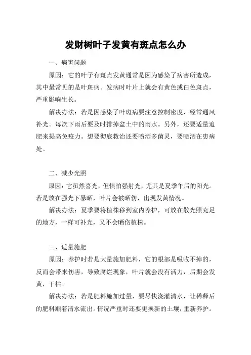 发财树叶子发黄有斑点怎么办