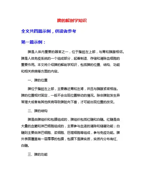 脾的解剖学知识