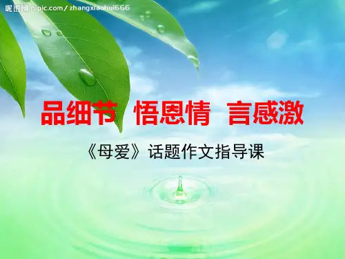 母爱作文教学ppt