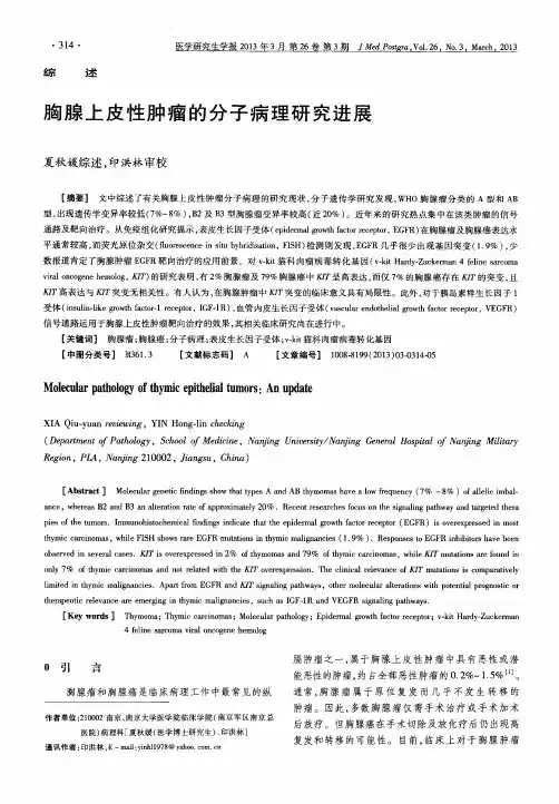 胸腺上皮性肿瘤的分子病理研究进展