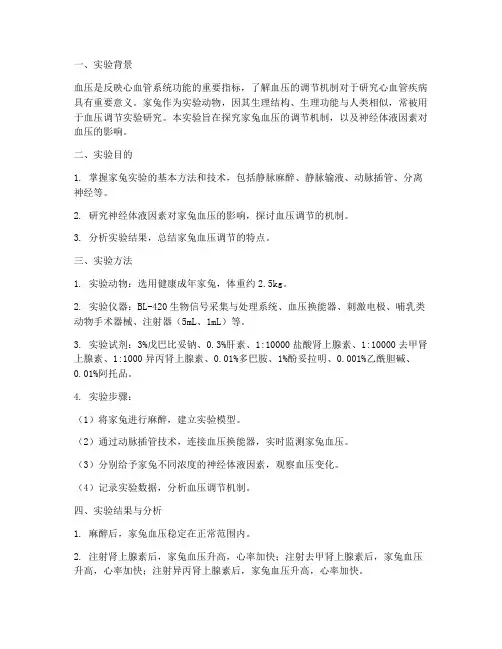 家兔血压实验报告总结