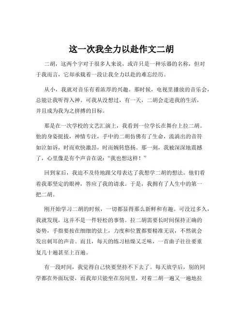 这一次我全力以赴作文二胡