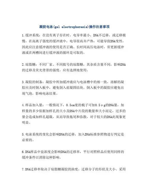 凝胶电泳(gel electrophoresis)操作注意事项