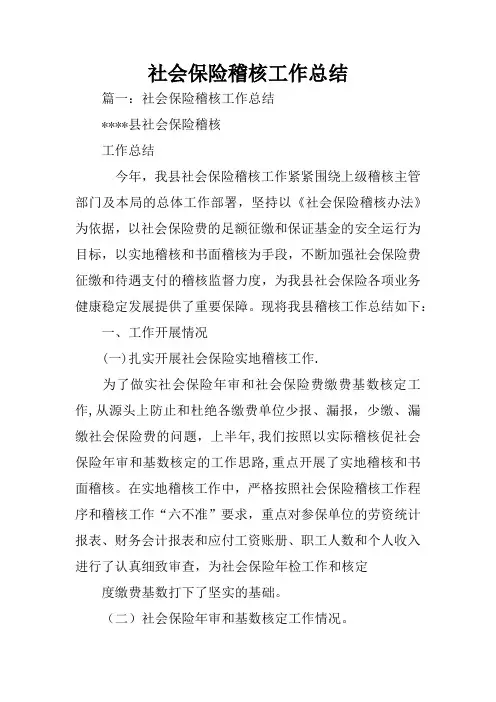 社会保险稽核工作总结