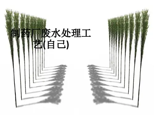 制药厂废水处理工艺(自己)ppt课件