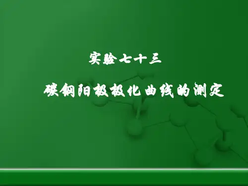 碳钢阳极极化曲线测定试验课件