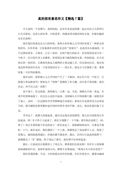 精选真的很有意思作文【7篇】