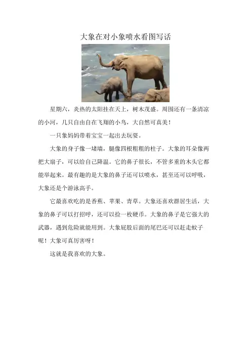 大象在对小象喷水看图写话