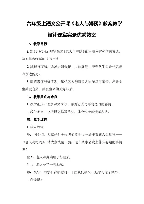 六年级上语文公开课《老人与海鸥》教案教学设计课堂实录优秀教案