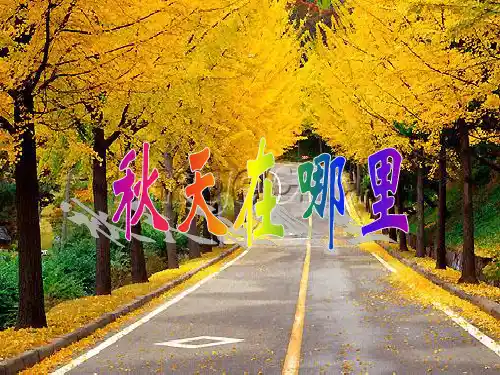 二年级品德上册课件-第二单元 5《秋天在哪里》人教新课标 (共25张PPT)