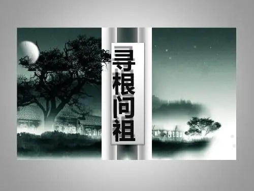 寻根问祖