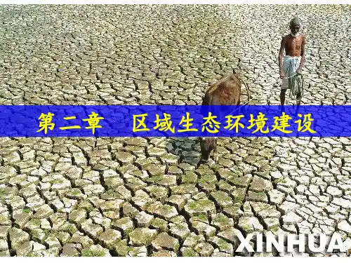 高三一轮复习荒漠化的防治 ppt课件