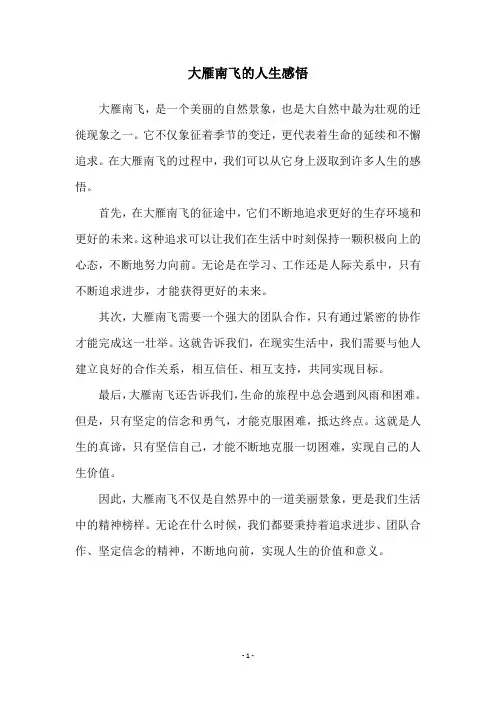大雁南飞的人生感悟