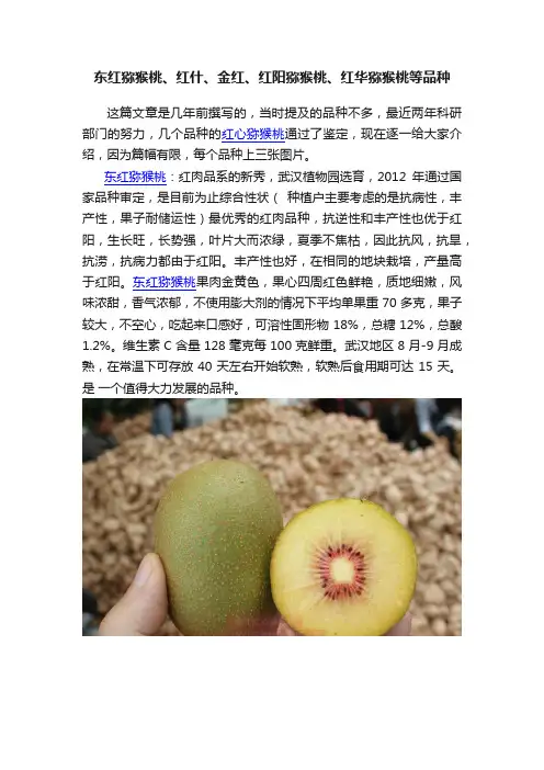 东红猕猴桃、红什、金红、红阳猕猴桃、红华猕猴桃等品种