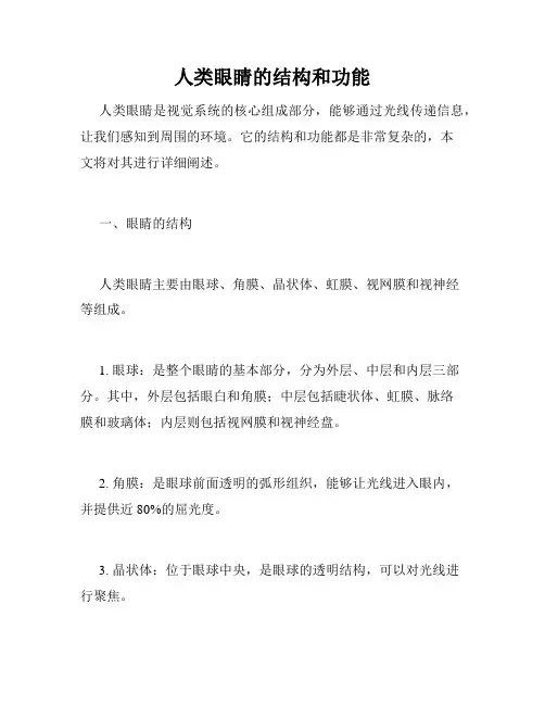 人类眼睛的结构和功能