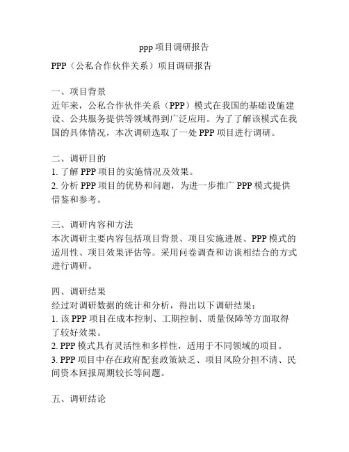 ppp项目调研报告