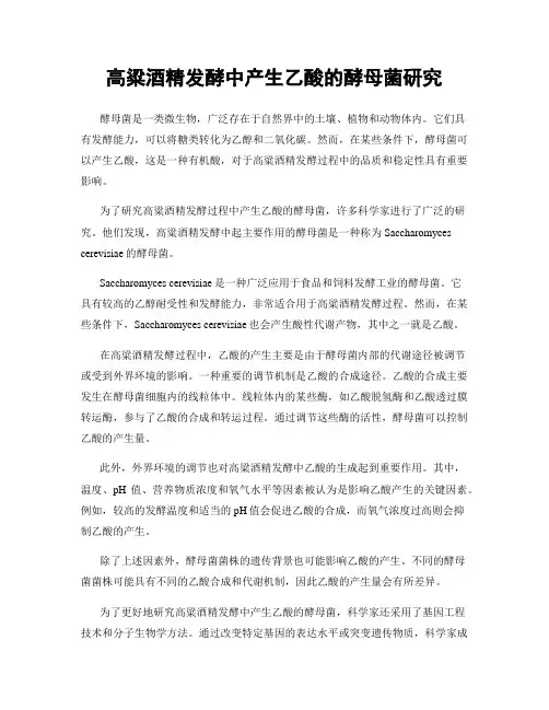 高粱酒精发酵中产生乙酸的酵母菌研究