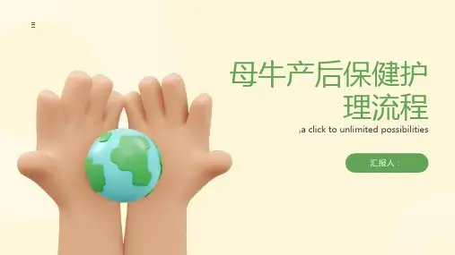 母牛产后保健护理流程