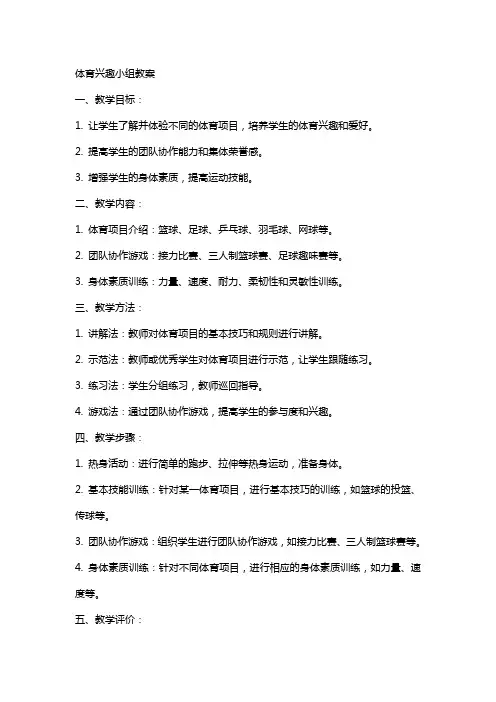体育兴趣小组教案