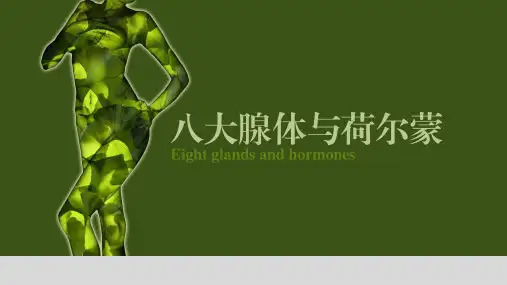 八大腺体与荷尔蒙ppt(28页)