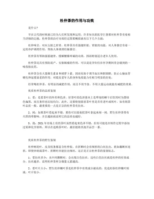 杜仲茶的作用与功效