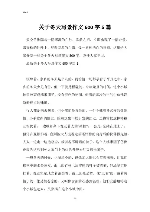 关于冬天写景作文600字5篇