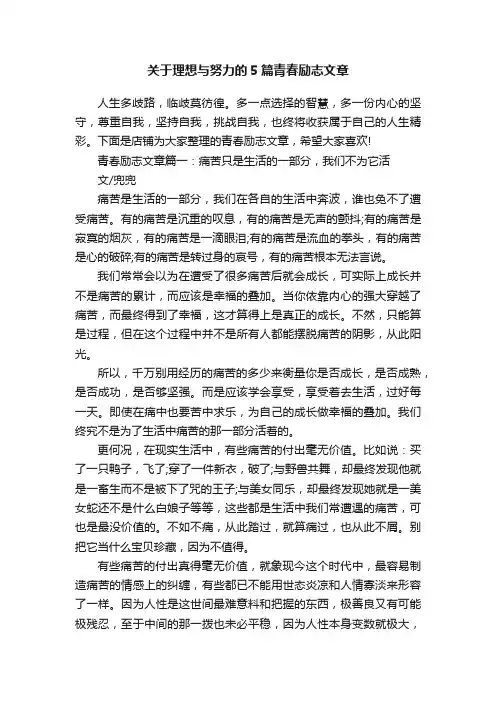 关于理想与努力的5篇青春励志文章