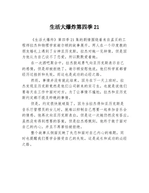 生活大爆炸第四季21