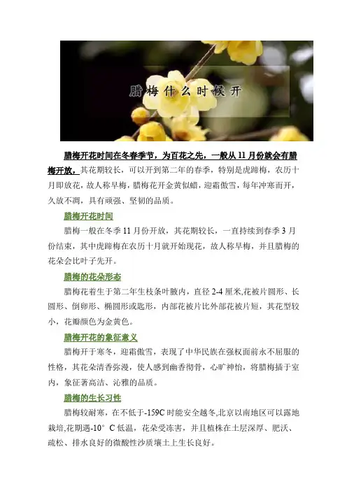 腊梅是什么季节开