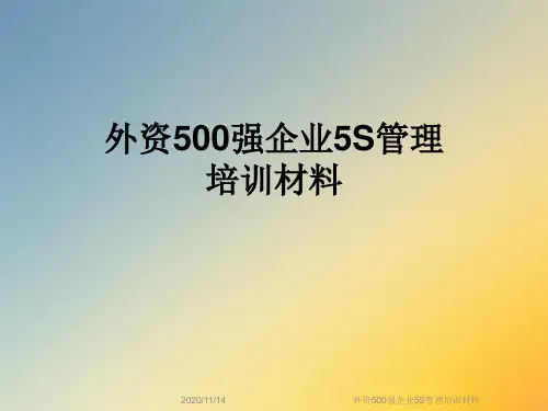 外资500强企业5S管理培训材料