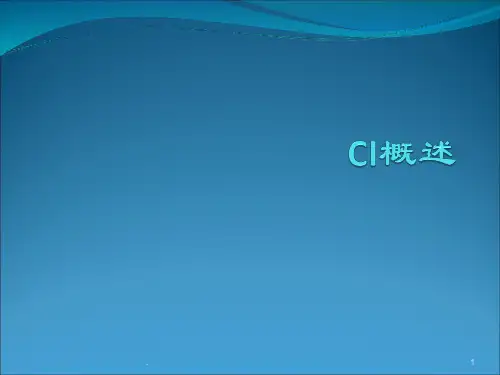 ci概述PPT课件